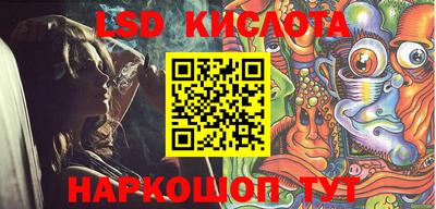 крисы Кулебаки