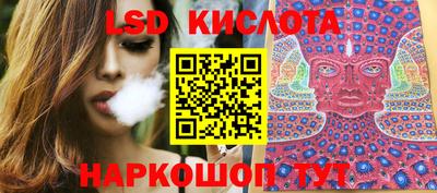 крисы Кулебаки