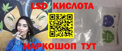крисы Кулебаки