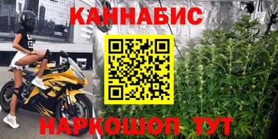 крисы Кулебаки