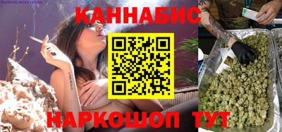 крисы Кулебаки