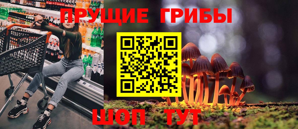 Галлюциногенные грибы GOLDEN TEACHER Избербаш