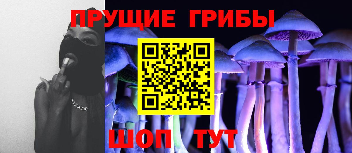 Галлюциногенные грибы Cubensis  Галлюциногенные грибы Cubensis  Вход с VPN  Избербаш 